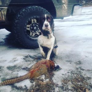 Meet your Posher, Justin